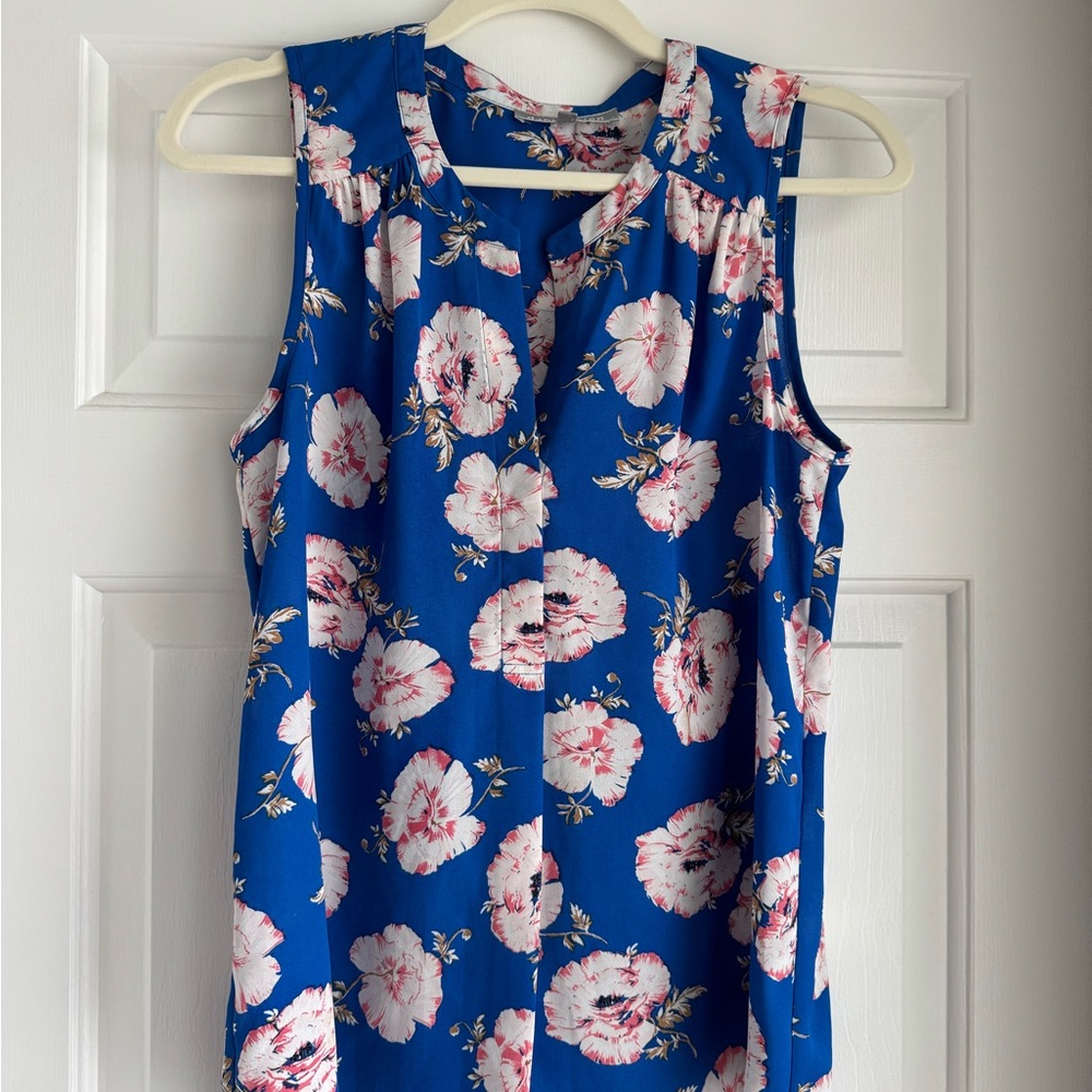 Daniel Rainn Blue and Pink Floral Blouse